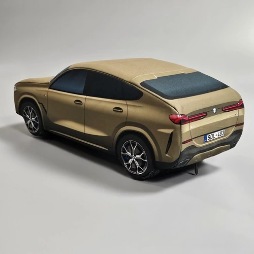 Plüss BMW X6 2020