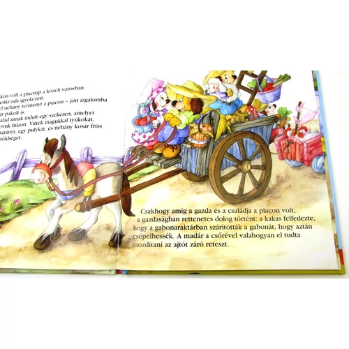 Állati foglalkozások: A gazda mesekönyv 3